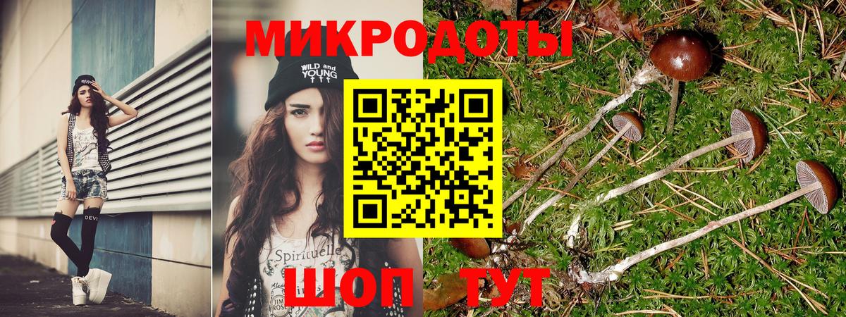 Псилоцибиновые грибы ЛСД  Вход с VPN  Качканар  Псилоцибиновые грибы MAGIC MUSHROOMS 
